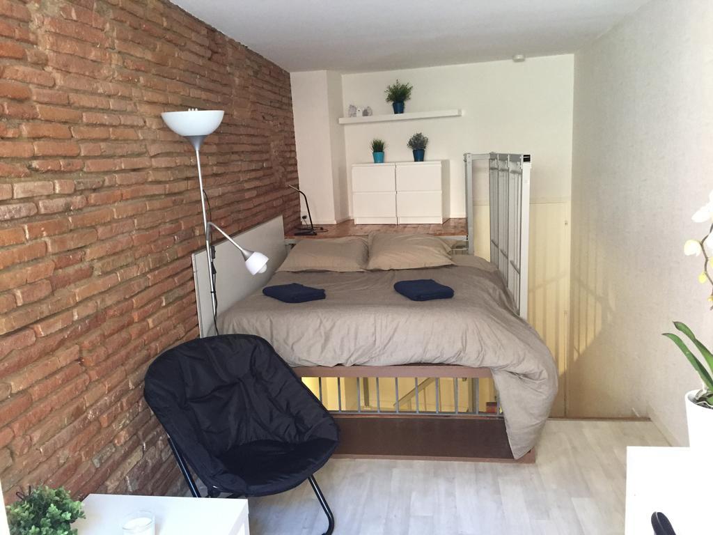 Апартаменты Le Petit Moulin, Duplex Hypercentre Тулуза Экстерьер фото